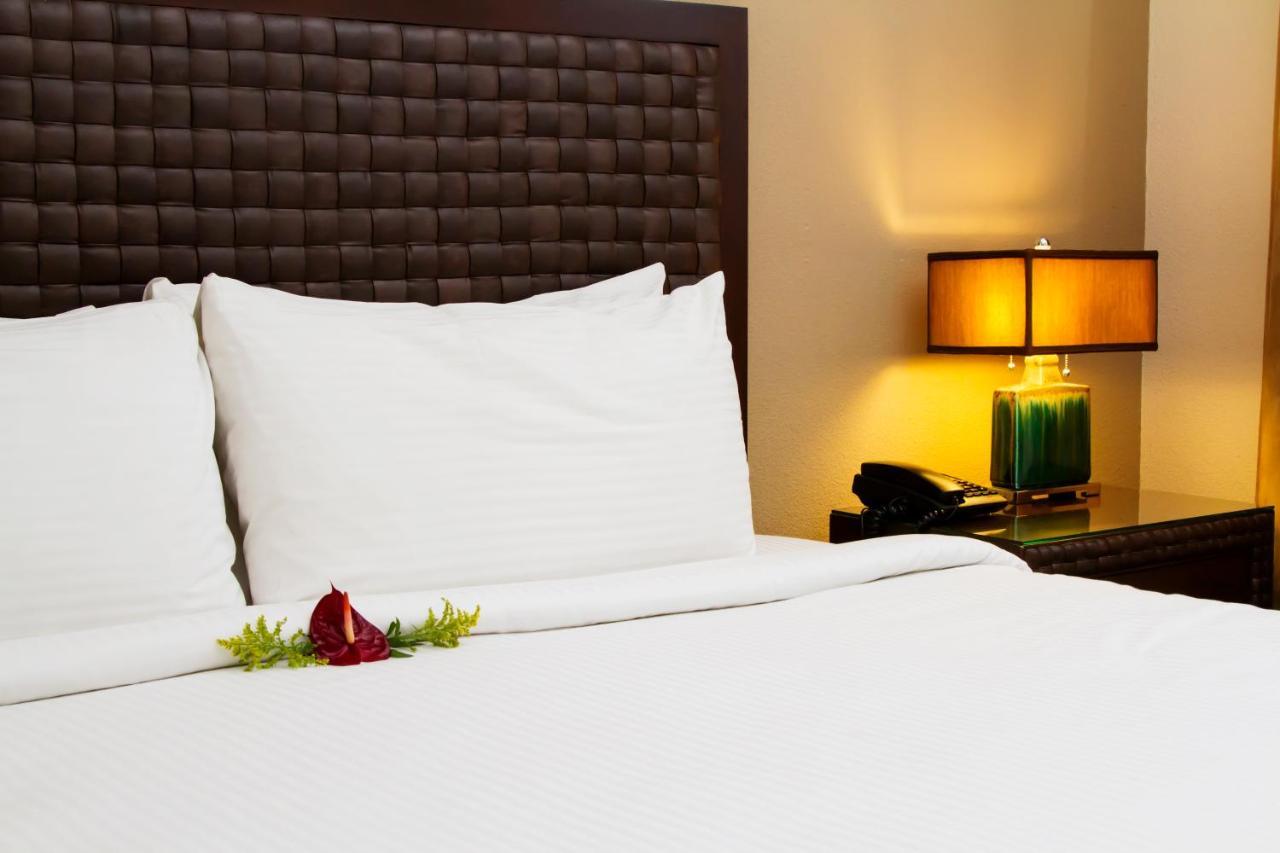Rincon Del Valle Hotel & Suites San José Exteriér fotografie